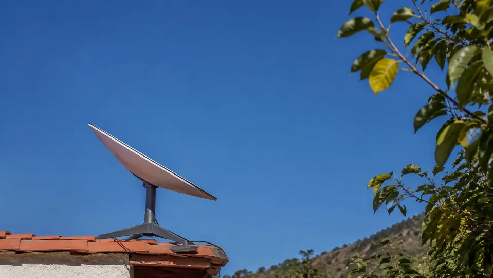 Antena satelital con cielo despejado y ramas próximas al campo de visión