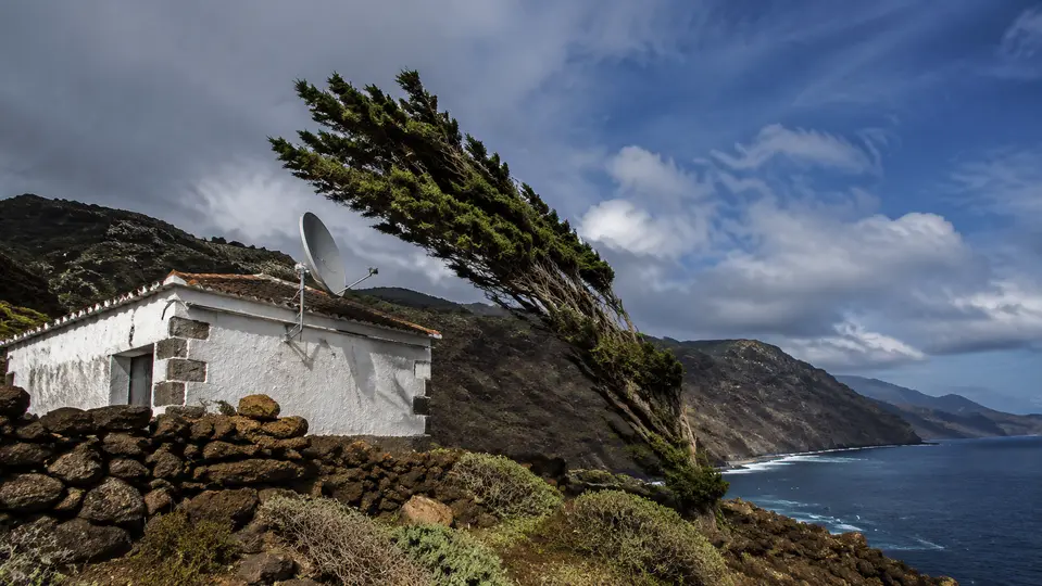 Vivienda con antena satelital junto a una sabina inclinada de El Hierro